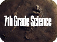 Link to 7th Grade Science Exemplary Units